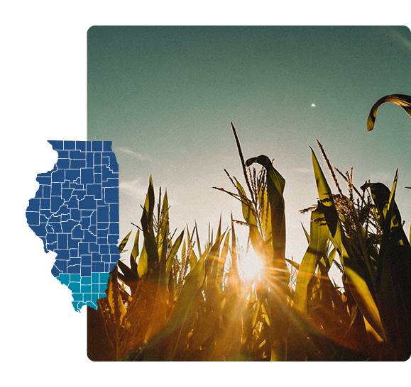 Map of Illinois highlight bottom 16 counties of the state with picture of cornfield